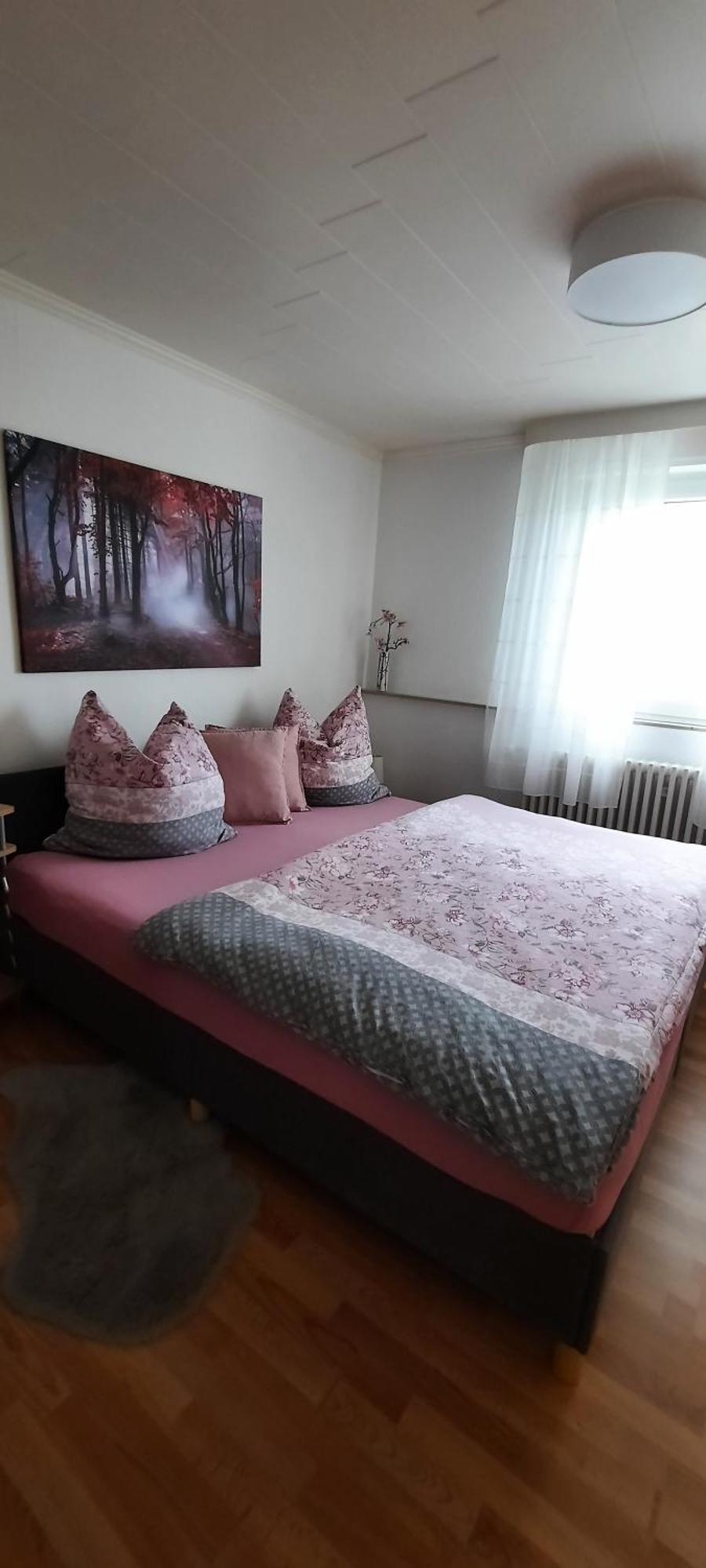 Ferienwohnung An Der Lahn Лімбург-ан-дер-Лан Екстер'єр фото